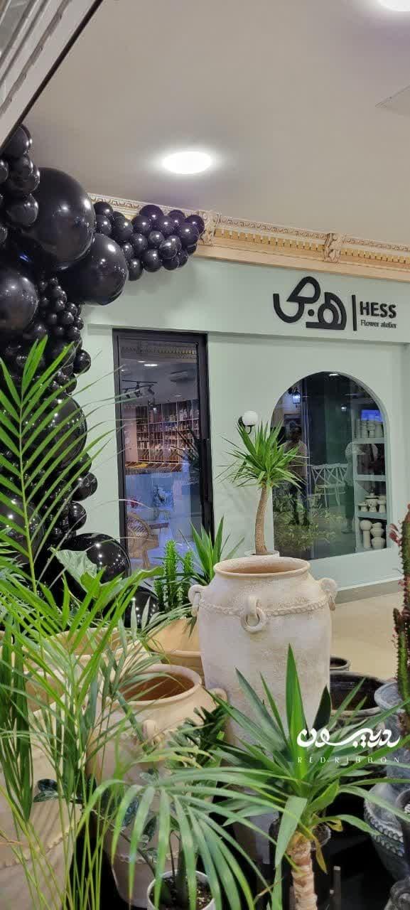 عکس گالری گل هص