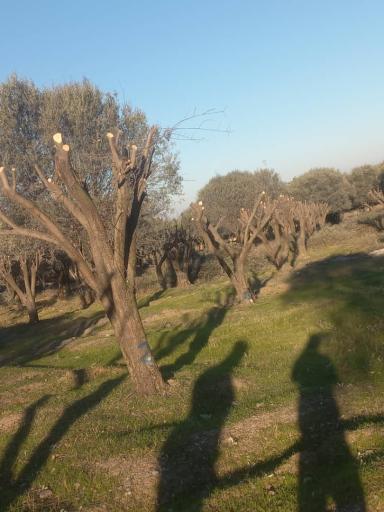 عکس نهالستان تاجیک و پسران