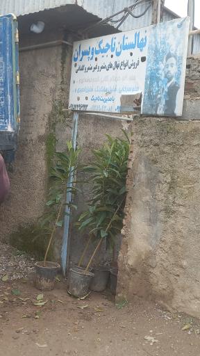 عکس نهالستان تاجیک و پسران