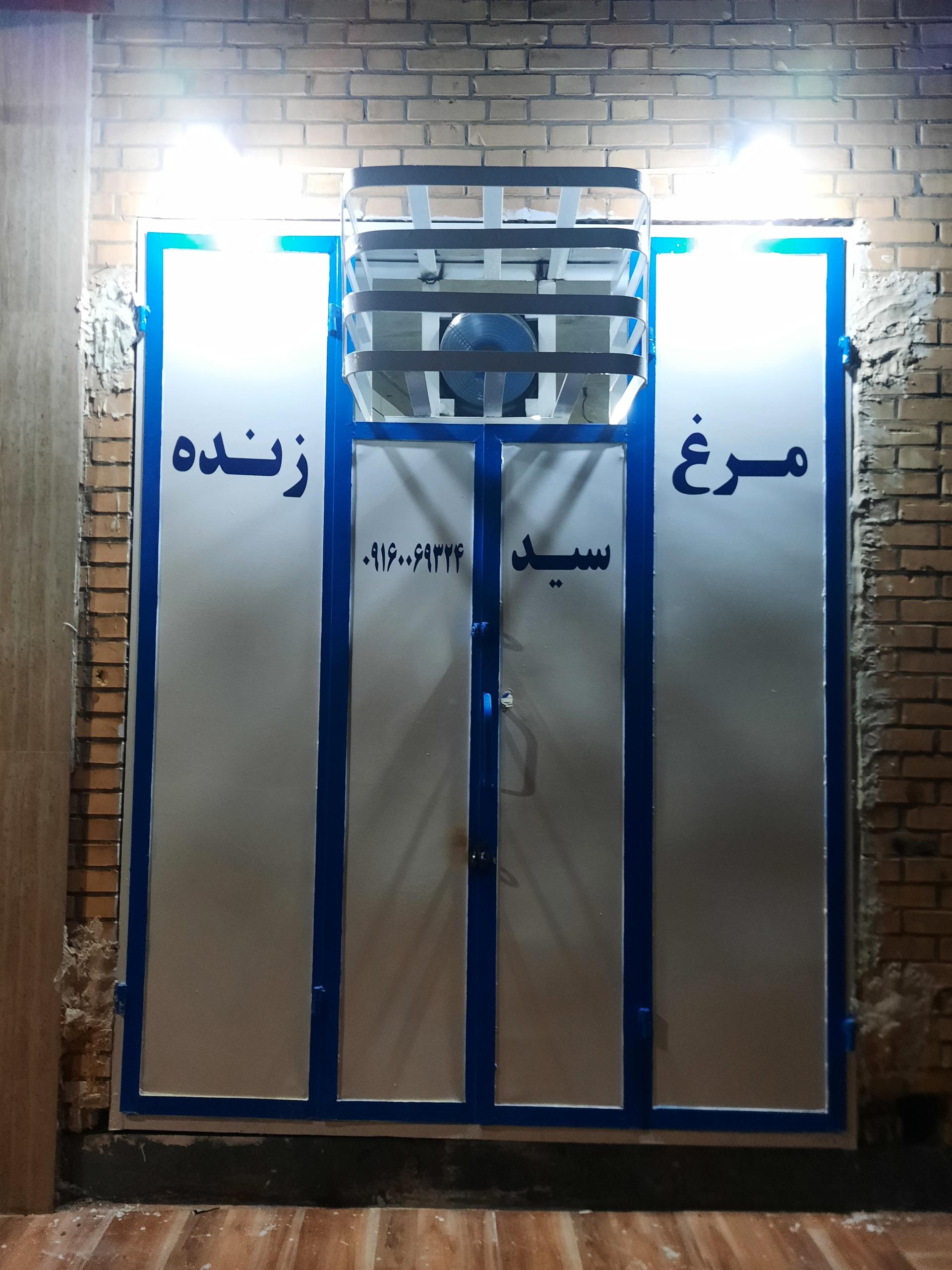 عکس مرغ زنده سيد