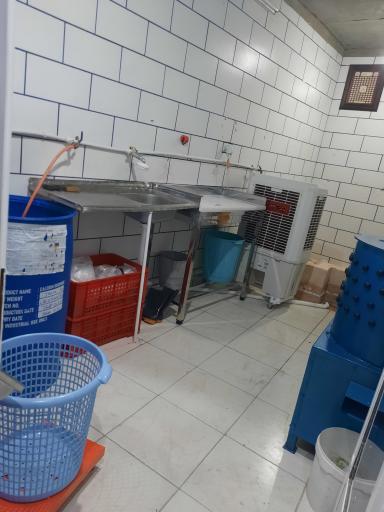 عکس مرغ زنده سيد
