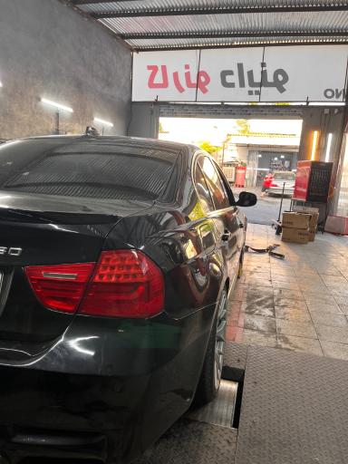 عکس کارنو داینو