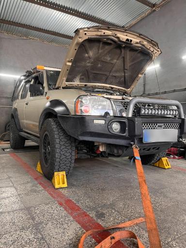 کارنو داینو