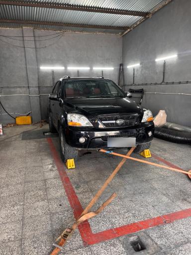 عکس کارنو داینو