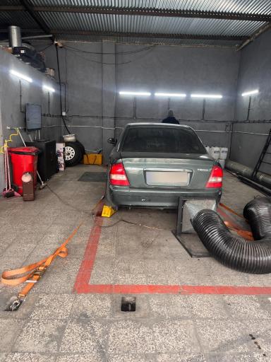 عکس کارنو داینو