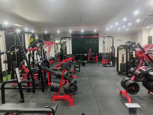 عکس باشگاه بدنسازی ضربان