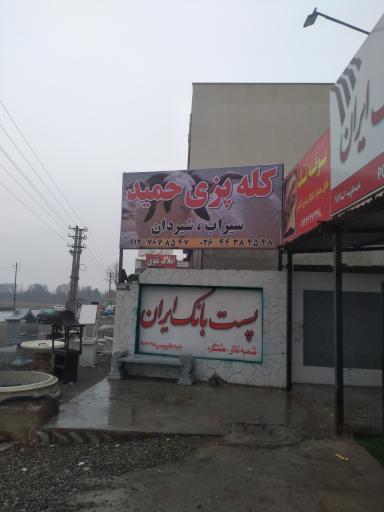 عکس کله پزی حمید 