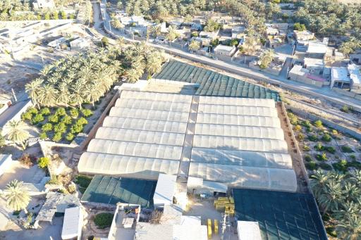 عکس گلخانه تولید نشا مهرگان جم