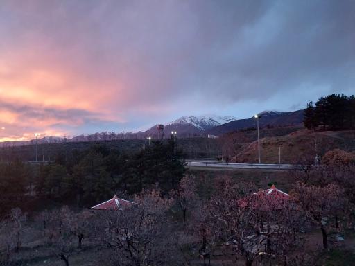 بوستان جنگلی یاس شمالی