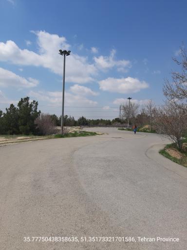 عکس بوستان جنگلی یاس شمالی