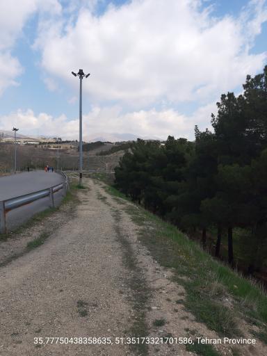 عکس بوستان جنگلی یاس شمالی