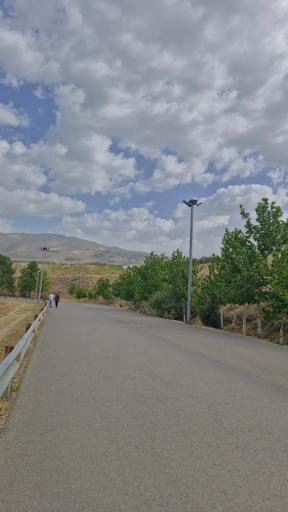 بوستان جنگلی یاس شمالی