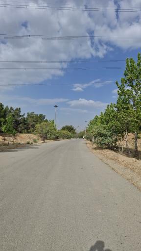 بوستان جنگلی یاس شمالی