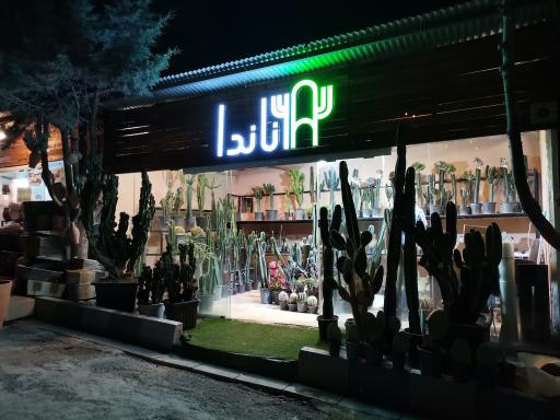 عکس گل باغ آناندا