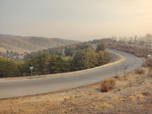 عکس بوستان جنگلی یاس شمالی