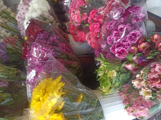 عکس گلفروشی گل مریم