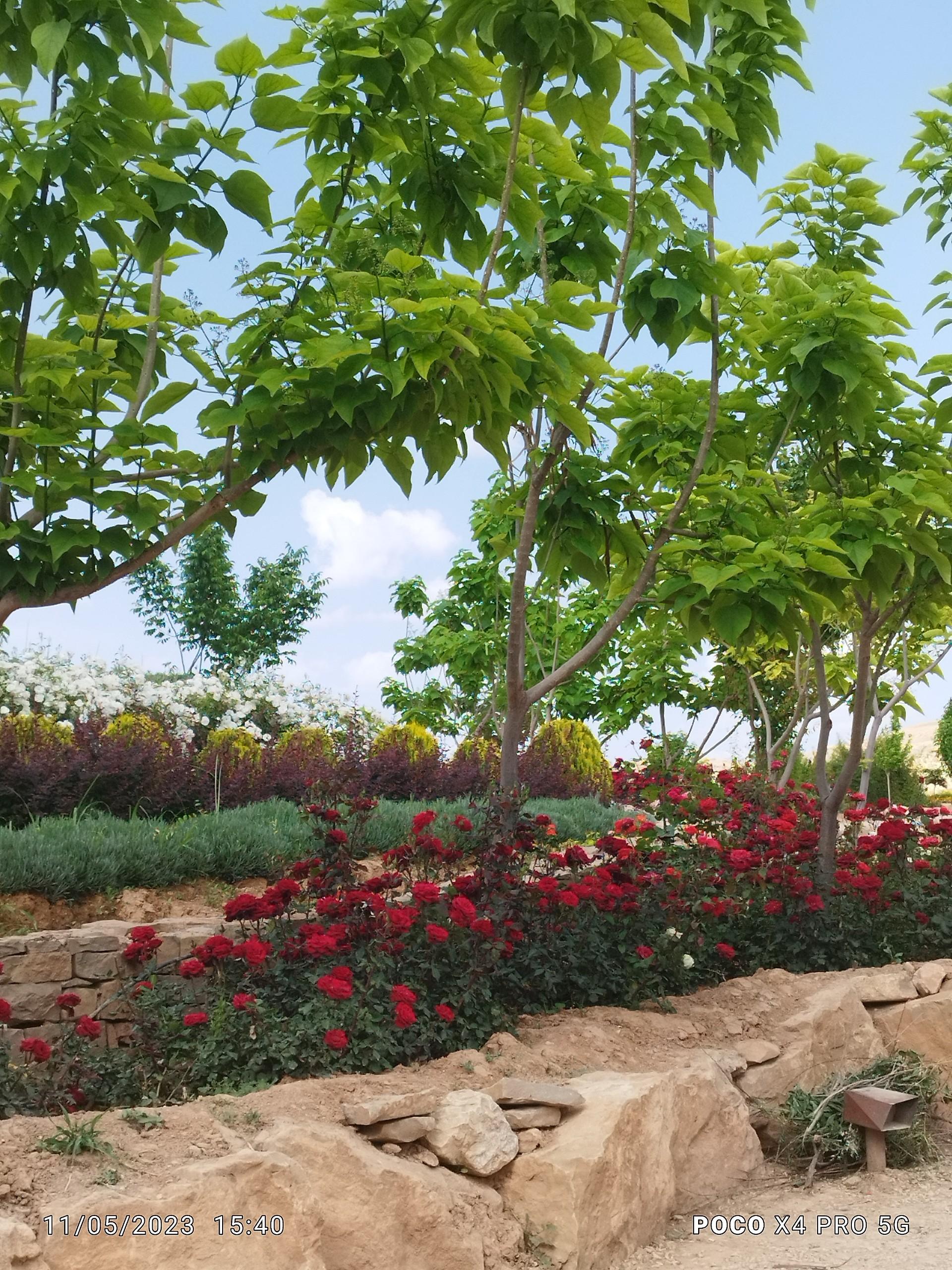 عکس برکه باغ گلها