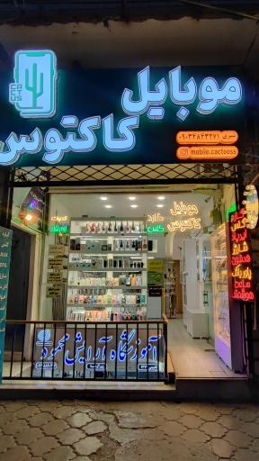 موبایل کاکتوس