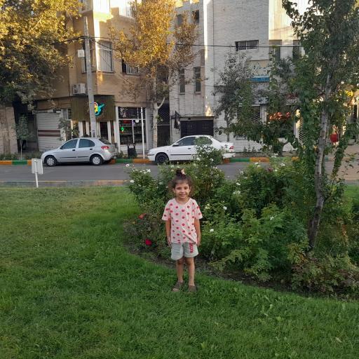 عکس سه راه فلسطین