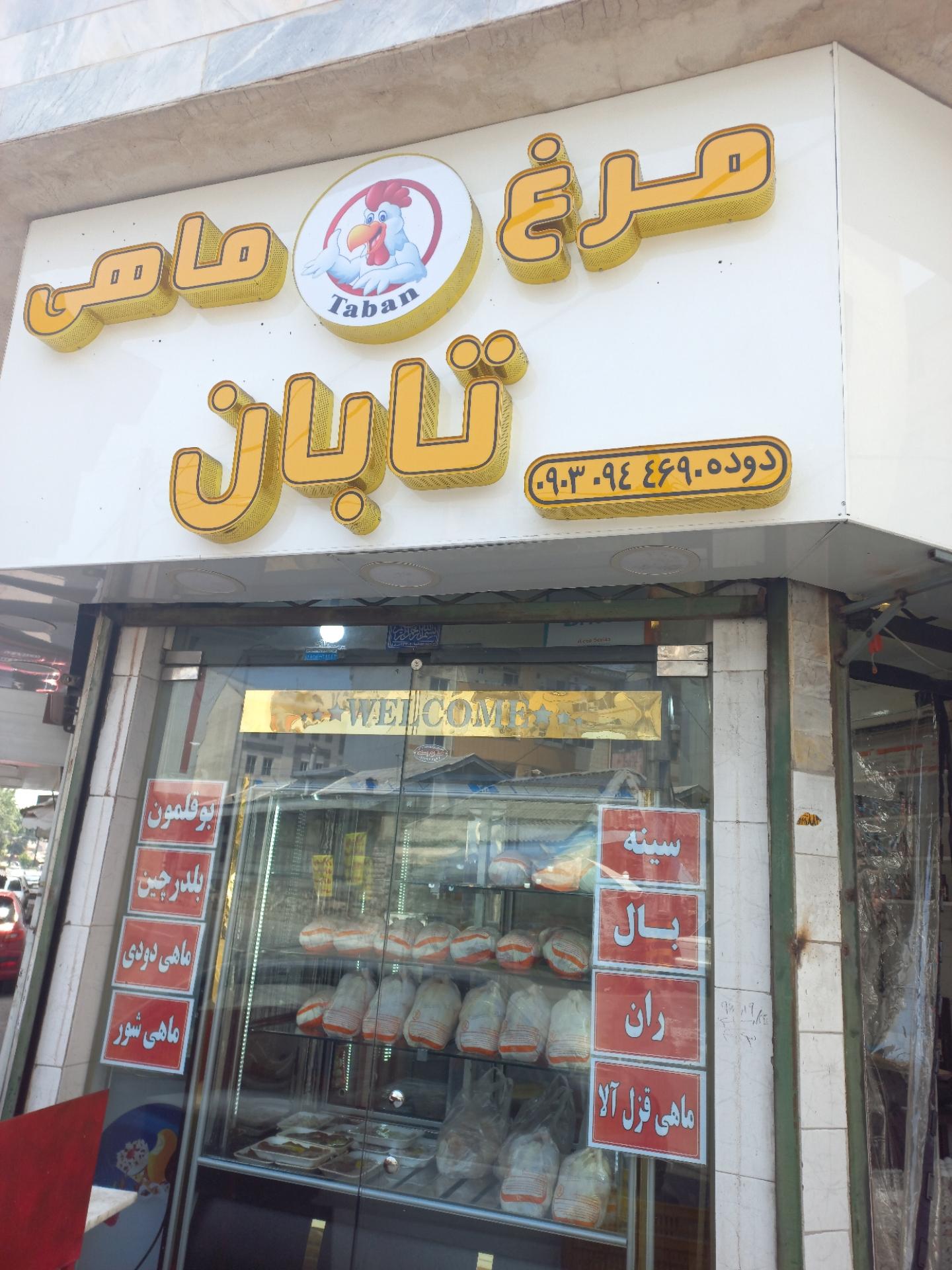 عکس مرغ ماهی تابان