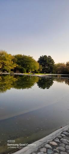 عکس دریاچه رویشگاه چین و ژاپن