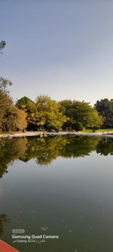 عکس دریاچه رویشگاه چین و ژاپن