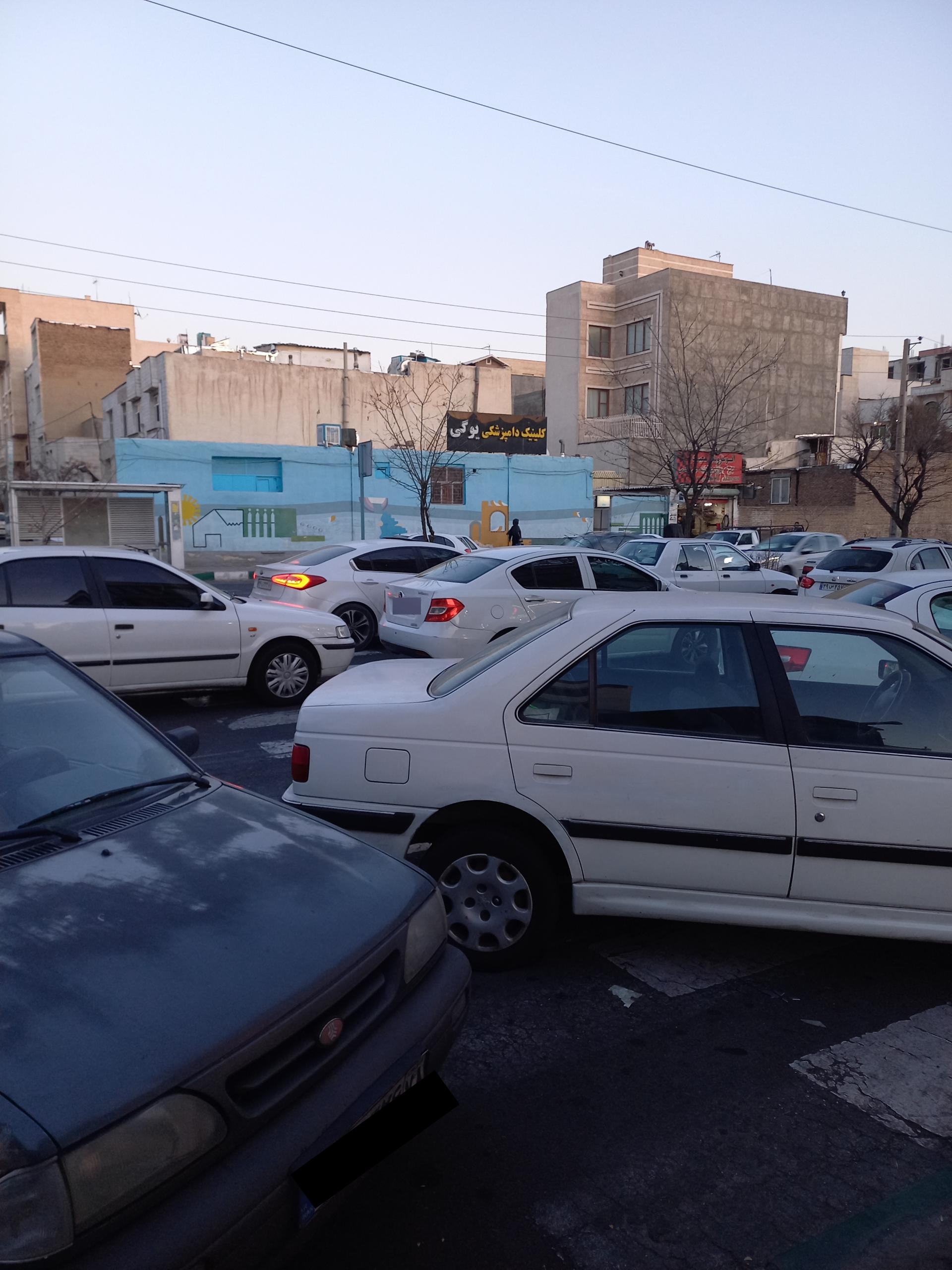 عکس کلینیک دامپزشکی یوگی