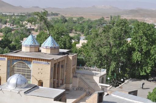 عکس امامزاده موسی (ع) 