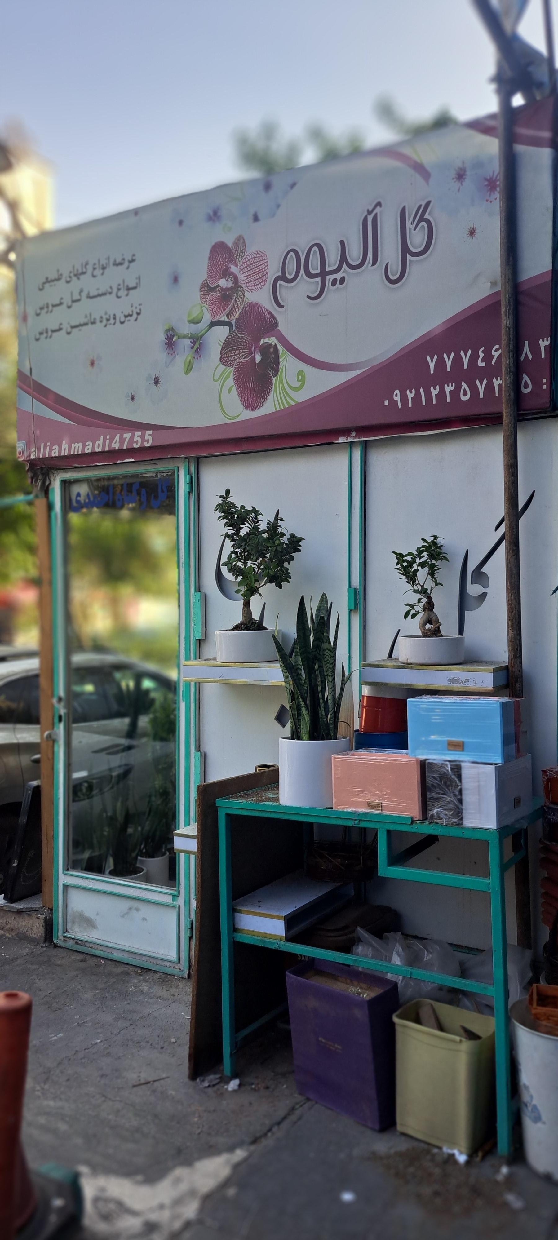 عکس گل فروشی