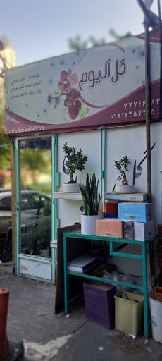 عکس گل فروشی