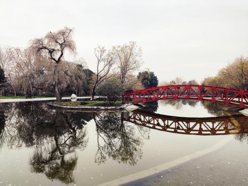 عکس دریاچه رویشگاه چین و ژاپن