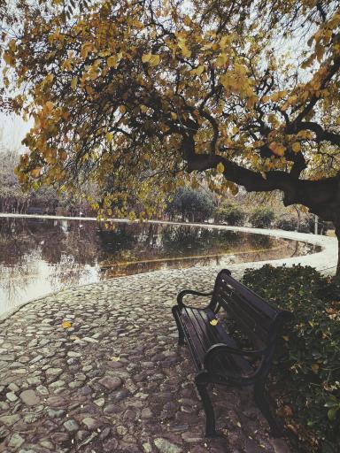 عکس دریاچه رویشگاه چین و ژاپن