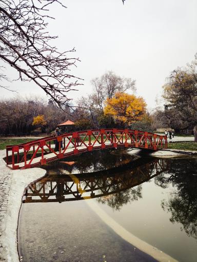 عکس دریاچه رویشگاه چین و ژاپن