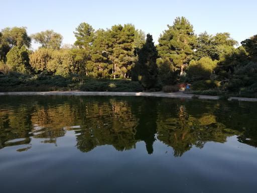 عکس دریاچه رویشگاه چین و ژاپن