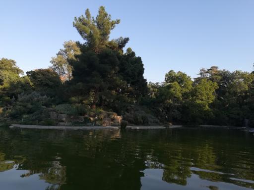 دریاچه رویشگاه چین و ژاپن