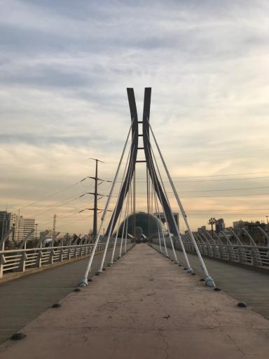 عکس پل ابریشم