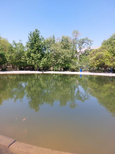 دریاچه رویشگاه چین و ژاپن