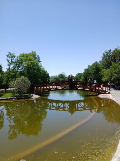 دریاچه رویشگاه چین و ژاپن