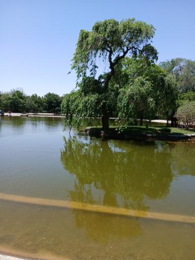 عکس دریاچه رویشگاه چین و ژاپن