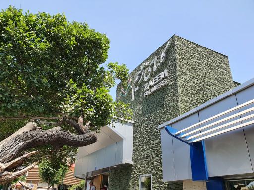 عکس گل های زعیم