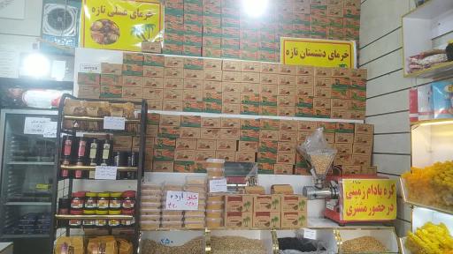 عکس خرمای همایون نبرد