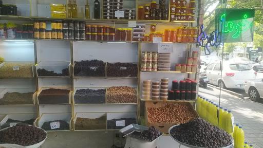 عکس خرمای همایون نبرد