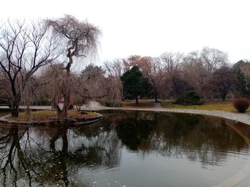 دریاچه رویشگاه چین و ژاپن