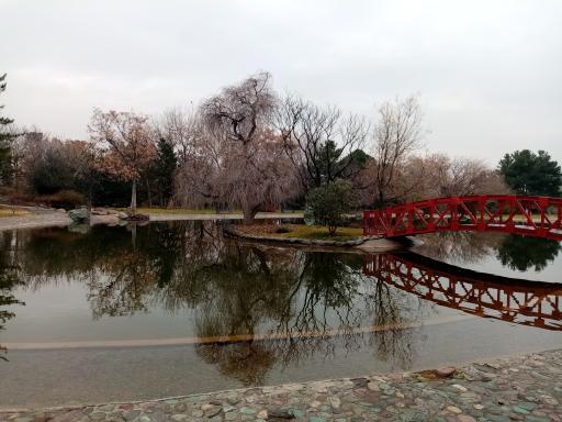 دریاچه رویشگاه چین و ژاپن