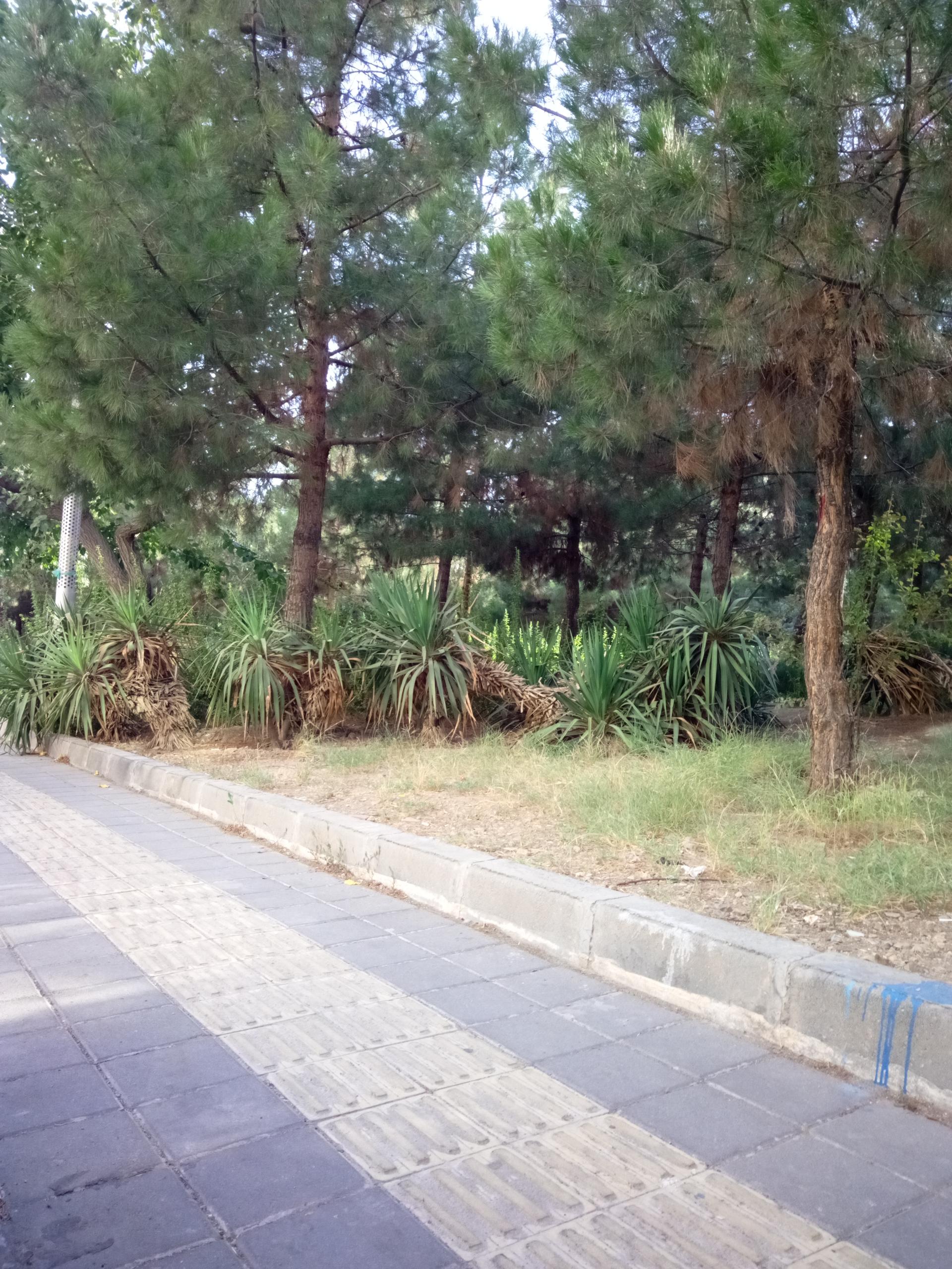 عکس بوستان کوهستان