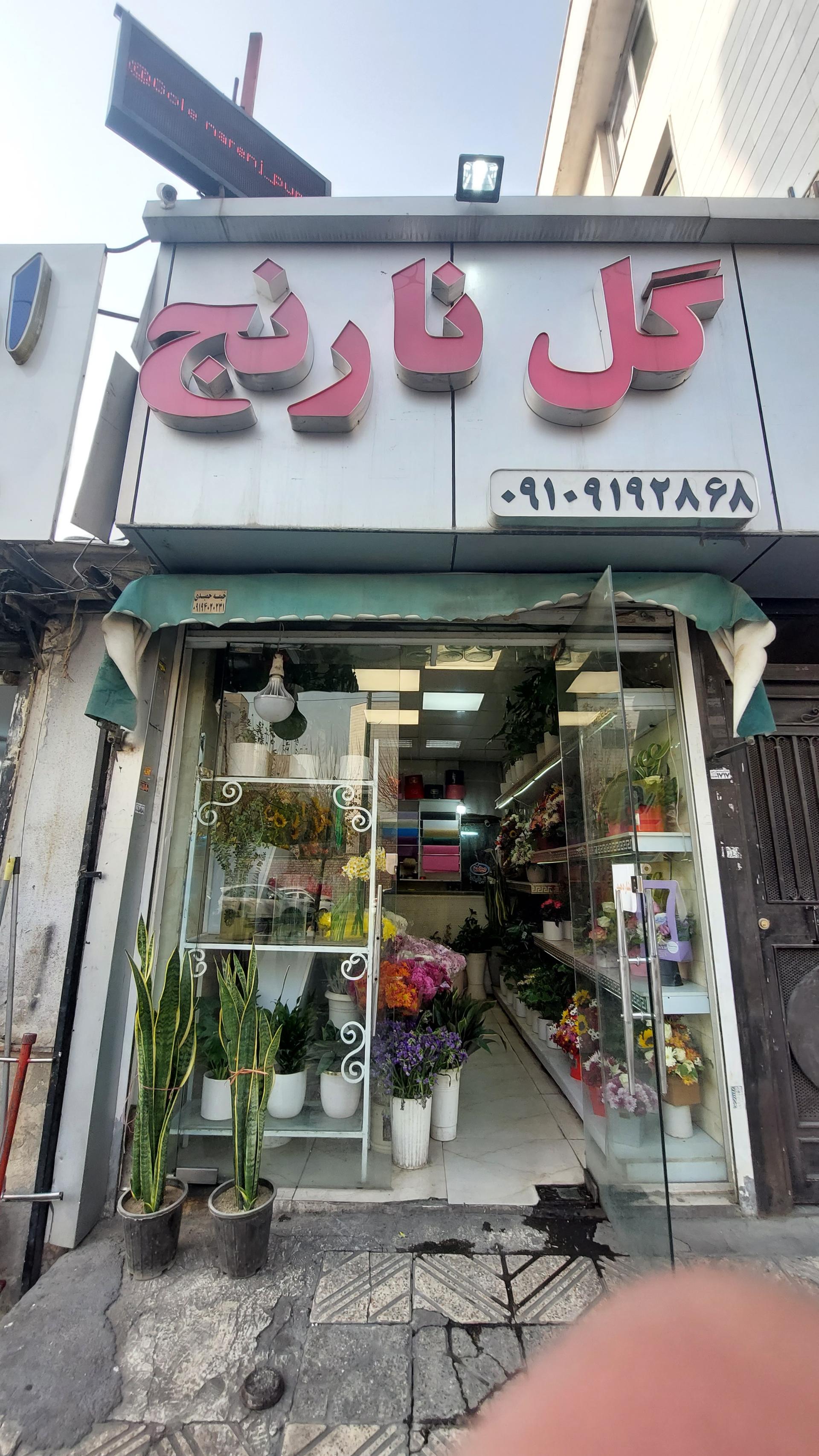 عکس گل نارنج 