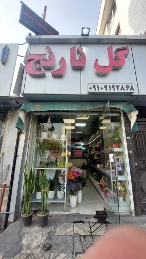 عکس گل نارنج 