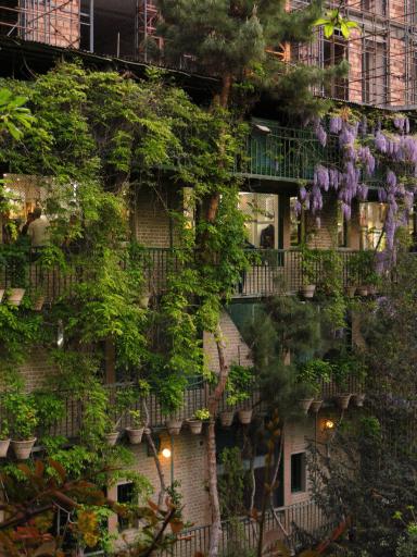 عکس موزه دکتر حسابی