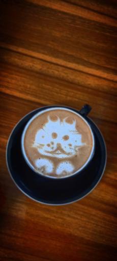 عکس کافه ایران