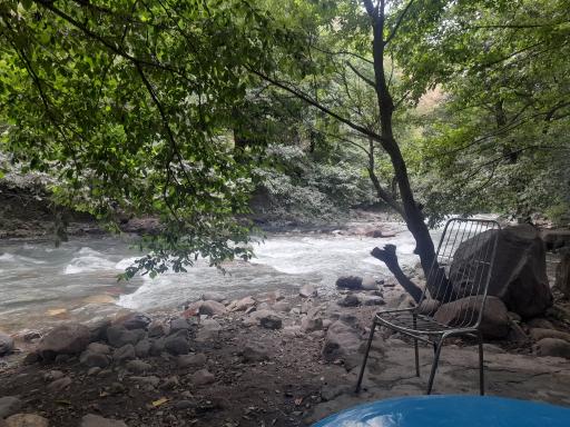 عکس باغ خانوادگی طوبی